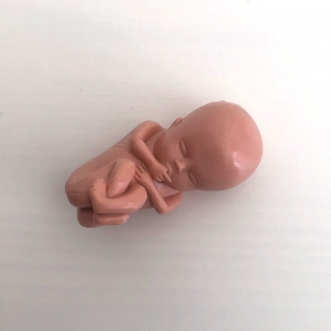 ALfA Sonstiges – Embryo Figur